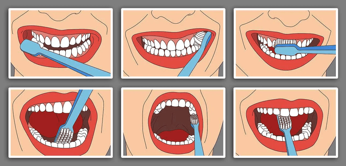 Learning a Healthy Dental Care Routine