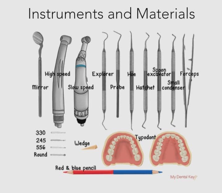 Dental Cleaning Tools and Plaque Removal